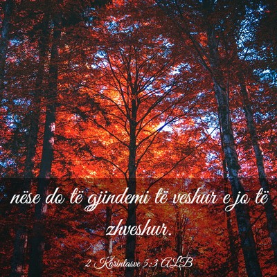 Picture 03 - 2 Korintasve 5:3 ALB - nëse do të gjindemi të veshur e jo të - Bible Verse Picture