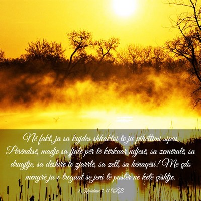 Picture 03 - 2 Korintasve 7:11 ALB - Në fakt, ja sa kujdes shkaktoi te ju pikëllimi - Bible Verse Picture