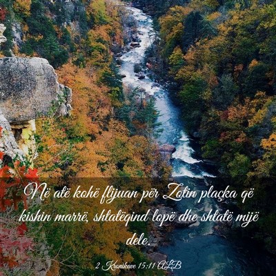Picture 03 - 2 Kronikave 15:11 ALB - Në atë kohë flijuan për Zotin plaçka që - Bible Verse Picture