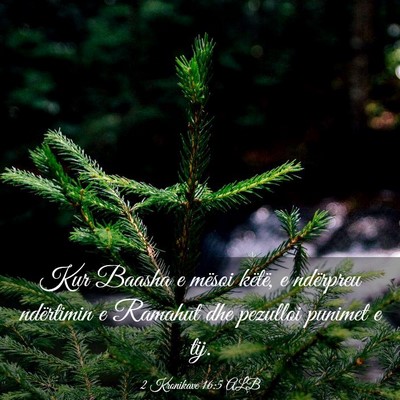 Picture 03 - 2 Kronikave 16:5 ALB - Kur Baasha e mësoi këtë, e ndërpreu - Bible Verse Picture