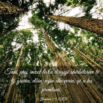 Picture 03 - 2 Kronikave 2:15 ALB - Tani, pra, imzot le t’u dërgojë - Bible Verse Picture