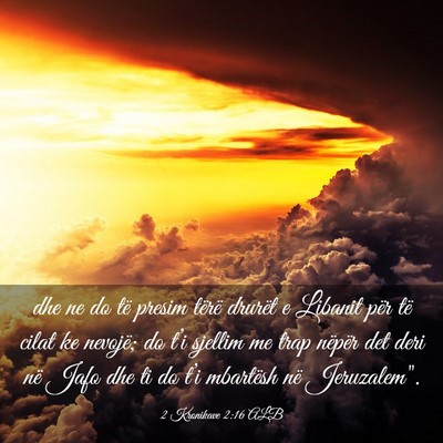Picture 03 - 2 Kronikave 2:16 ALB - dhe ne do të presim tërë drurët e Libanit - Bible Verse Picture