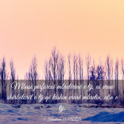 Picture 03 - 2 Kronikave 25:3 ALB - Mbasi përforcoi mbretërinë e tij, ai vrau - Bible Verse Picture