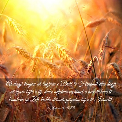Picture 03 - 2 Kronikave 28:3 ALB - Ai dogji temjan në luginën e Birit të Hinomit - Bible Verse Picture