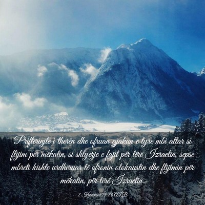 Picture 03 - 2 Kronikave 29:24 ALB - Priftërinjtë i therën dhe ofruan gjakun e tyre - Bible Verse Picture