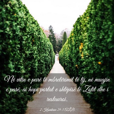 Picture 03 - 2 Kronikave 29:3 ALB - Në vitin e parë të mbretërimit të tij, në - Bible Verse Picture