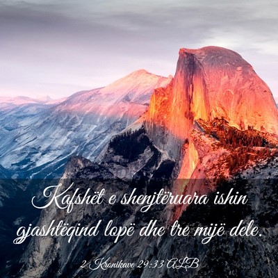 Picture 03 - 2 Kronikave 29:33 ALB - Kafshët e shenjtëruara ishin gjashtëqind lopë - Bible Verse Picture