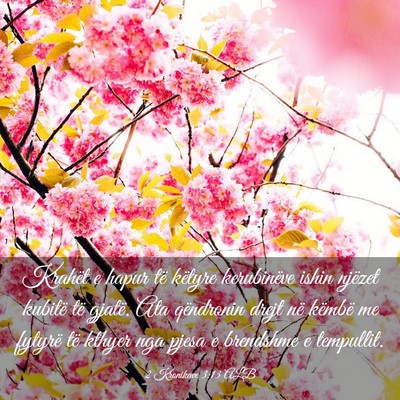 Picture 03 - 2 Kronikave 3:13 ALB - Krahët e hapur të këtyre kerubinëve ishin - Bible Verse Picture