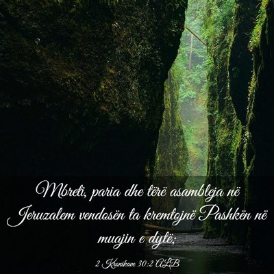 Picture 03 - 2 Kronikave 30:2 ALB - Mbreti, paria dhe tërë asambleja në Jeruzalem - Bible Verse Picture