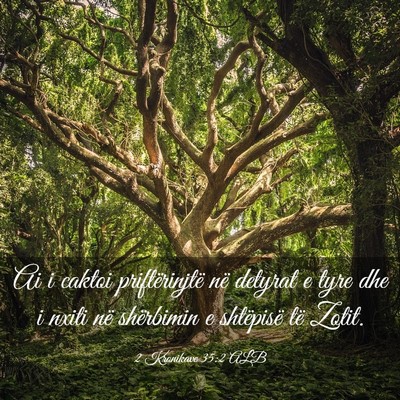 Picture 03 - 2 Kronikave 35:2 ALB - Ai i caktoi priftërinjtë në detyrat e tyre dhe - Bible Verse Picture