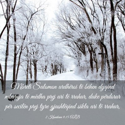 Picture 03 - 2 Kronikave 9:15 ALB - Mbreti Salomon urdhëroi të bëhen dyqind - Bible Verse Picture