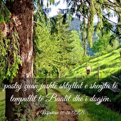 Picture 03 - 2 Mbretërve 10:26 ALB - pastaj çuan jashtë shtyllat e shenjta të - Bible Verse Picture