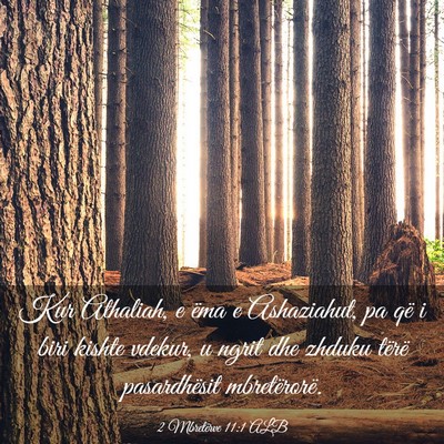 Picture 03 - 2 Mbretërve 11:1 ALB - Kur Athaliah, e ëma e Ashaziahut, pa që i biri - Bible Verse Picture