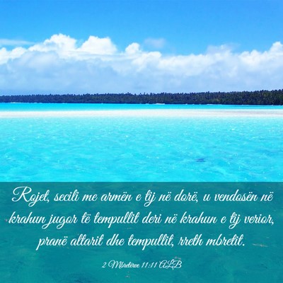 Picture 03 - 2 Mbretërve 11:11 ALB - Rojet, secili me armën e tij në dorë, u - Bible Verse Picture