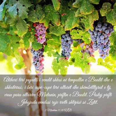 Picture 03 - 2 Mbretërve 11:18 ALB - Atëherë tërë populli i vendit shkoi në - Bible Verse Picture