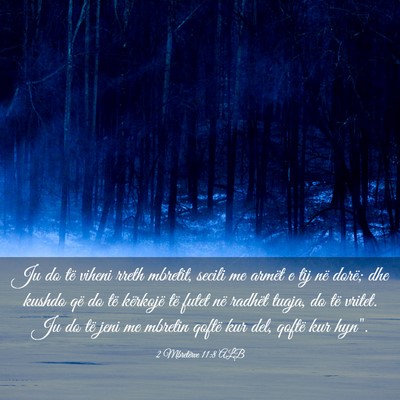 Picture 03 - 2 Mbretërve 11:8 ALB - Ju do të viheni rreth mbretit, secili me armët - Bible Verse Picture