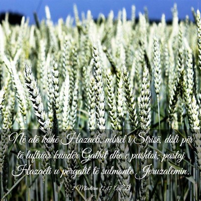 Picture 03 - 2 Mbretërve 12:17 ALB - Në atë kohë Hazaeli, mbret i Sirisë, doli - Bible Verse Picture