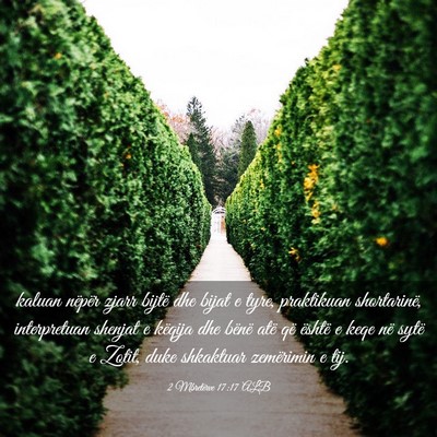 Picture 03 - 2 Mbretërve 17:17 ALB - kaluan nëpër zjarr bijtë dhe bijat e tyre, - Bible Verse Picture