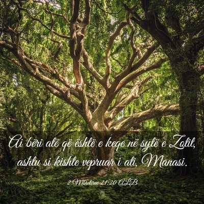 Picture 03 - 2 Mbretërve 21:20 ALB - Ai bëri atë që është e keqe në sytë e - Bible Verse Picture