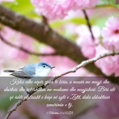 Picture 03 - 2 Mbretërve 21:6 ALB - Kaloi edhe nëpër zjarr të birin, u muarr me - Bible Verse Picture