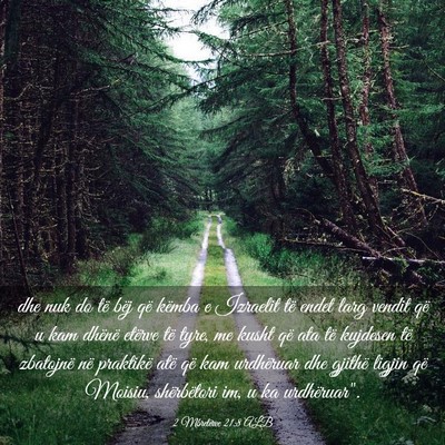 Picture 03 - 2 Mbretërve 21:8 ALB - dhe nuk do të bëj që këmba e Izraelit të - Bible Verse Picture