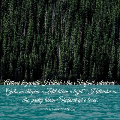 Picture 03 - 2 Mbretërve 22:8 ALB - Atëherë kryeprifti Hilkiah i tha Shafanit, - Bible Verse Picture