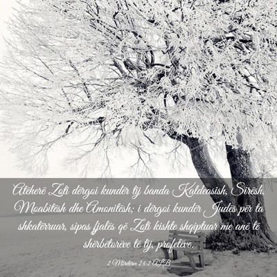 Picture 03 - 2 Mbretërve 24:2 ALB - Atëherë Zoti dërgoi kundër tij banda - Bible Verse Picture