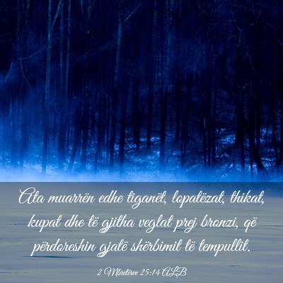 Picture 03 - 2 Mbretërve 25:14 ALB - Ata muarrën edhe tiganët, lopatëzat, thikat, - Bible Verse Picture