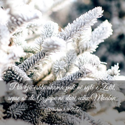 Picture 03 - 2 Mbretërve 3:18 ALB - Por kjo është akoma pak në sytë e Zotit, - Bible Verse Picture