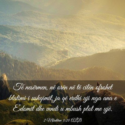 Picture 03 - 2 Mbretërve 3:20 ALB - Të nesërmen, në orën në të cilën ofrohet - Bible Verse Picture