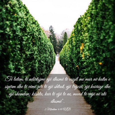 Picture 03 - 2 Mbretërve 4:10 ALB - Të lutem, të ndërtojmë një dhomë të vogël - Bible Verse Picture