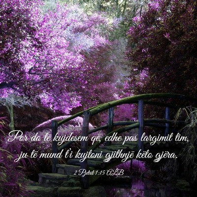 Picture 03 - 2 Pjetrit 1:15 ALB - Por do të kujdesem që, edhe pas largimit tim, - Bible Verse Picture