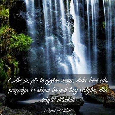Picture 03 - 2 Pjetrit 1:5 ALB - Edhe ju, për të njëjtën arsye, duke bërë - Bible Verse Picture