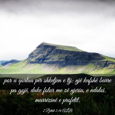 Picture 03 - 2 Pjetrit 2:16 ALB - por u qortua për shkeljen e tij: një kafshë - Bible Verse Picture