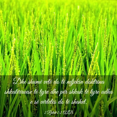 Picture 03 - 2 Pjetrit 2:2 ALB - Dhe shumë vetë do të ndjekin doktrina - Bible Verse Picture