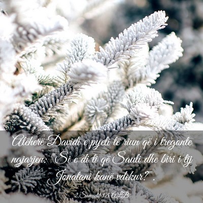 Picture 03 - 2 Samuelit 1:5 ALB - Atëherë Davidi e pyeti të riun që i tregonte - Bible Verse Picture