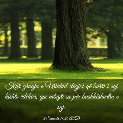 Picture 03 - 2 Samuelit 11:26 ALB - Kur gruaja e Uriahut dëgjoi që burri i saj - Bible Verse Picture