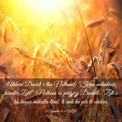 Picture 03 - 2 Samuelit 12:13 ALB - Atëherë Davidi i tha Nathanit: 