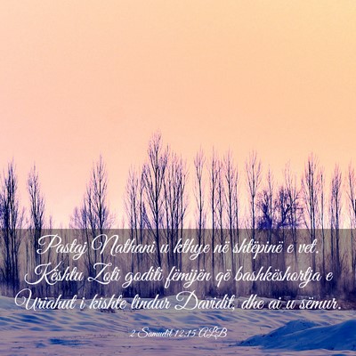 Picture 03 - 2 Samuelit 12:15 ALB - Pastaj Nathani u kthye në shtëpinë e vet. - Bible Verse Picture