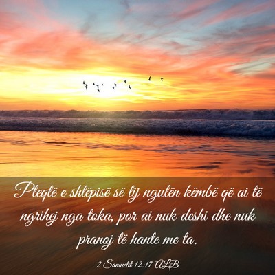 Picture 03 - 2 Samuelit 12:17 ALB - Pleqtë e shtëpisë së tij ngulën këmbë që - Bible Verse Picture