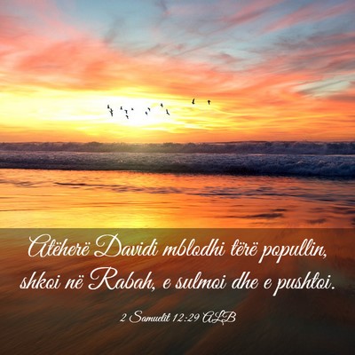 Picture 03 - 2 Samuelit 12:29 ALB - Atëherë Davidi mblodhi tërë popullin, shkoi - Bible Verse Picture