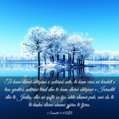 Picture 03 - 2 Samuelit 12:8 ALB - Të kam dhënë shtëpinë e zotërisë sate, të - Bible Verse Picture