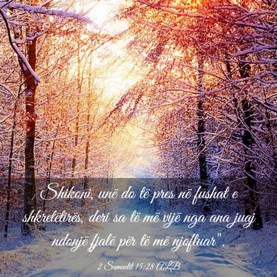 Picture 03 - 2 Samuelit 15:28 ALB - Shikoni, unë do të pres në fushat e - Bible Verse Picture