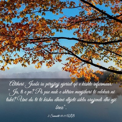 Picture 03 - 2 Samuelit 18:11 ALB - Atëherë Joabi iu përgjigj njeriut që e kishte - Bible Verse Picture