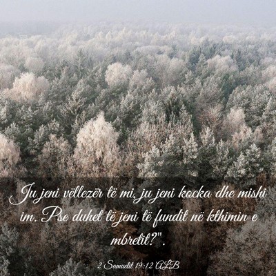 Picture 03 - 2 Samuelit 19:12 ALB - Ju jeni vëllezër të mi, ju jeni kocka dhe - Bible Verse Picture