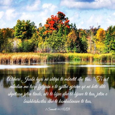 Picture 03 - 2 Samuelit 19:5 ALB - Atëherë Joabi hyri në shtëpi të mbretit dhe - Bible Verse Picture