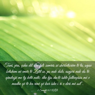 Picture 03 - 2 Samuelit 19:7 ALB - Tani, pra, çohu dil dhe foli zemrës së - Bible Verse Picture