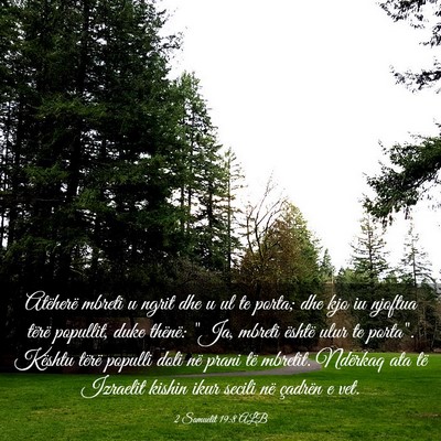 Picture 03 - 2 Samuelit 19:8 ALB - Atëherë mbreti u ngrit dhe u ul te porta; dhe - Bible Verse Picture