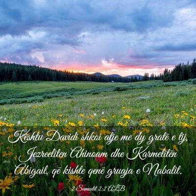 Picture 03 - 2 Samuelit 2:2 ALB - Kështu Davidi shkoi atje me dy gratë e tij, - Bible Verse Picture