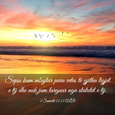 Picture 03 - 2 Samuelit 22:23 ALB - Sepse kam mbajtur para vetes të gjitha ligjet e - Bible Verse Picture